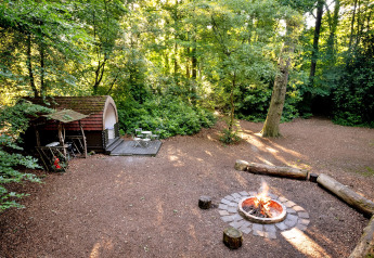 Daisy Glamping Pod in the United Kingdom, surrounded by forest, campfire, and rustic outdoor seating area.