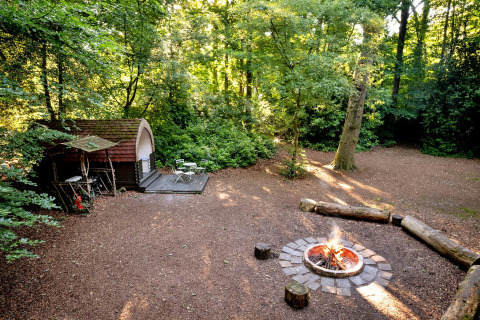 Afbeelding van Daisy Glamping Pod in het Verenigd Koninkrijk, omringd door bos, met kampvuur en zitplaatsen.