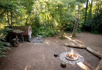 Woodland glamping pod with a campfire, log benches, and outdoor seating area in daytime sunlight.