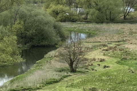 View of a peaceful river and lush trees near the Lilypad Bell Tent in the United Kingdom in spring.