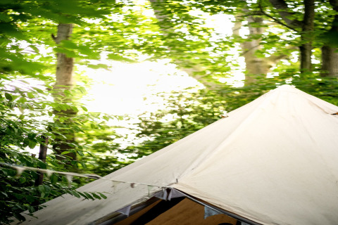 Bedouin Bell Tent tipi i Storbritannien, omgivet af grønne blade og træer i et fredeligt skovmiljø.