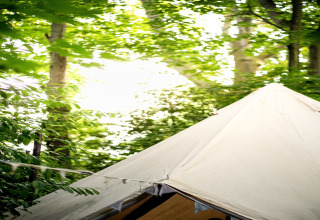 Bedouin Bell Tent tipi i Storbritannien, omgivet af grønne blade og træer i et fredeligt skovmiljø.