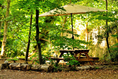Tavolo da picnic con ombrellone sotto alberi verdi al Moroccan Bell Tent nel Regno Unito.