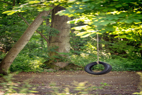Un’altalena con pneumatico nero appesa a un albero in un bosco soleggiato vicino a Moroccan Bell Tent nel Regno Unito.