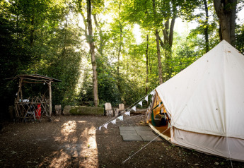 Foto della Moroccan Bell Tent nella foresta del Regno Unito, circondata da alberi e luce solare intensa.