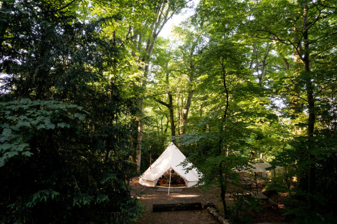Tenda Bell marocchina immersa in un bosco verde nel Regno Unito, circondata da alberi alti e luce solare.