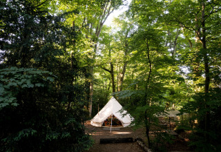 Tenda Bell marocchina immersa in un bosco verde nel Regno Unito, circondata da alberi alti e luce solare.