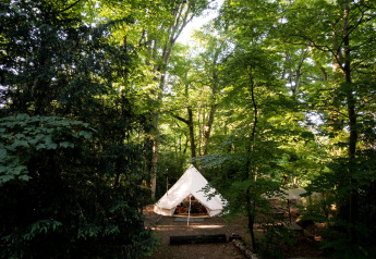 Tenda Bell marocchina immersa in un bosco verde nel Regno Unito, circondata da alberi alti e luce solare.
