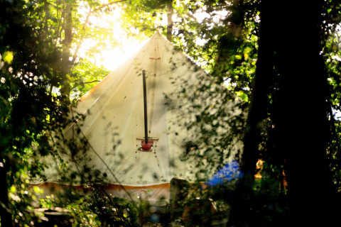 La luce del sole filtra tra gli alberi e illumina una tenda tipi 'Moroccan Bell Tent' nel Regno Unito.