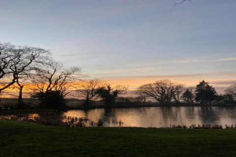 Un étang paisible au coucher du soleil, arbres dénudés se reflétant sur l’eau calme sous un ciel lumineux.