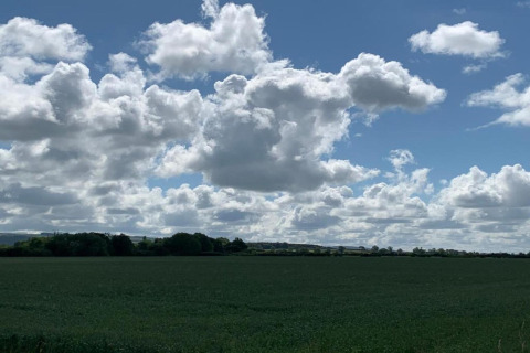 Photo d’un champ vert sous un ciel bleu avec de gros nuages blancs, près d’un étang à la campagne.