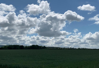 Foto van een groene wei onder een blauwe lucht met grote, witte wolken bij een vijver op het platteland.