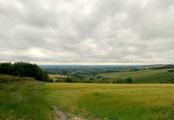 Landschap met groene velden en wolkenlucht, gezien vanaf een pod in het Vlaamse platteland.