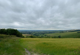 Landschap met groene velden en wolkenlucht, gezien vanaf een pod in het Vlaamse platteland.