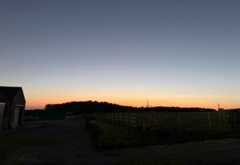 Stil landschap bij zonsondergang aan een vijver, met silhouetten en een zachte, gekleurde hemel.