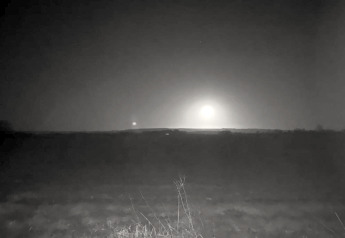 Zwart-wit nachtfoto van een vijver met gras vooraan en een fel licht aan de horizon in de verte.