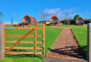 Afbeelding van drie houten glamping-pods op een groen grasveld, gezien vanaf achter een houten poort.