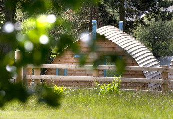 Un pod en bois à Blackcleugh Glamping, Royaume-Uni, vu à travers des feuilles vertes ensoleillées.