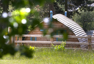 Een houten glampingpod bij Blackcleugh Glamping in het VK, gezien door groene bladeren in de zon.