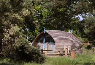 Een houten Blackcleugh Glamping-pod in het Verenigd Koninkrijk, omgeven door bomen en groene natuur.