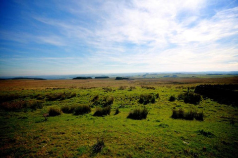 Foto van een grasveld onder een blauwe lucht, genomen bij een pod, met open landschap en verre bomen.