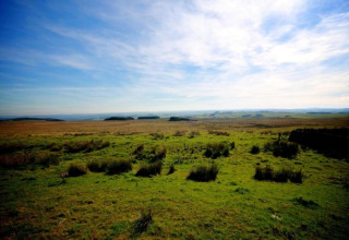 Foto van een grasveld onder een blauwe lucht, genomen bij een pod, met open landschap en verre bomen.