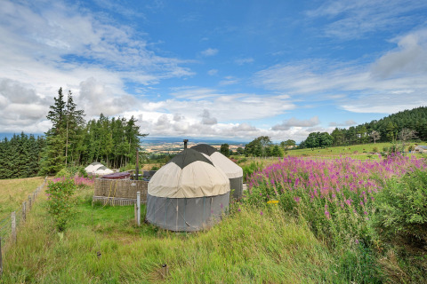 Bramble Yurt set in a meadow of wildflowers, overlooking open fields and forests under a blue sky.