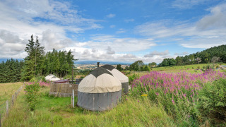 Bramble Yurt in un prato di fiori selvatici con vista su campi e boschi, sotto il cielo azzurro.