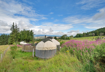 Bramble Yurt auf einer Wiese voller Wildblumen, mit Blick auf Felder, Wälder und einen weiten Himmel.