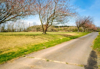 Rustige weg met grasvelden en bloeiende bomen bij een pod, onder een heldere blauwe lentehemel.