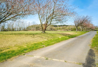 Rustige weg omgeven door grasvelden en bloeiende bomen bij een pod, onder een heldere blauwe lucht.
