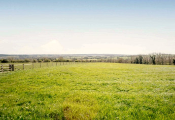 Een foto van een open veld met groen gras, afrastering en bomen aan de horizon onder een blauwe hemel.