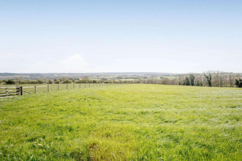 Een foto van een open veld met groen gras, afrastering en bomen in de verte onder een blauwe lucht.