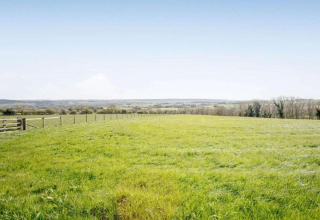 Een foto van een open veld met groen gras, afrastering en bomen in de verte onder een blauwe lucht.