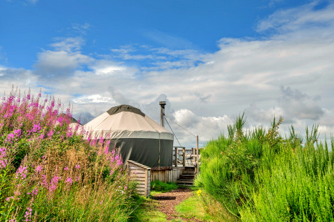 Bramble Yurt i Storbritannien omgivet af vilde blomster og grønne buske under en blå himmel.
