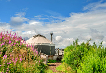 Bramble Yurt in the United Kingdom, surrounded by wildflowers and greenery under a partly cloudy sky.