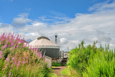 Bramble Yurt in the United Kingdom, surrounded by wildflowers and greenery under a partly cloudy sky.