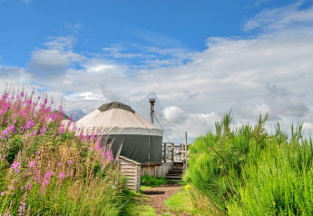 Bramble Yurt im Vereinigten Königreich, umgeben von wilden Blumen und Büschen unter blauem Himmel.