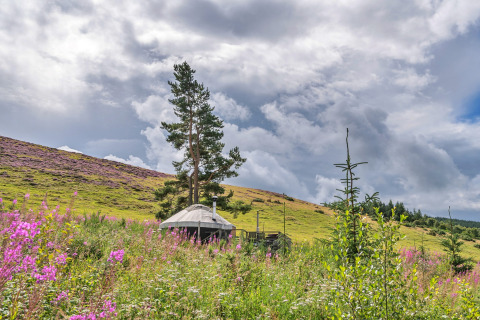 Bramble Yurt nestled in wildflowers and hilly green landscape under a dramatic sky in the UK.
