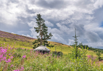 Bramble Yurt umgeben von wild blühenden Wiesen und grünen Hügeln unter dramatischem Himmel in UK.