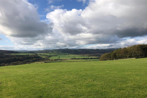 Landschapsfoto genomen bij een pod, met groene velden, glooiende heuvels, bomen en wolken in de lucht.