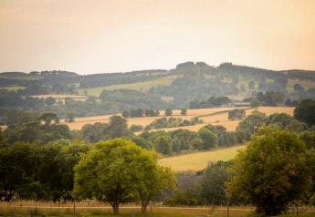 Landschap vanaf een pod met groene velden, glooiende heuvels en bomen bij een warme avondgloed.