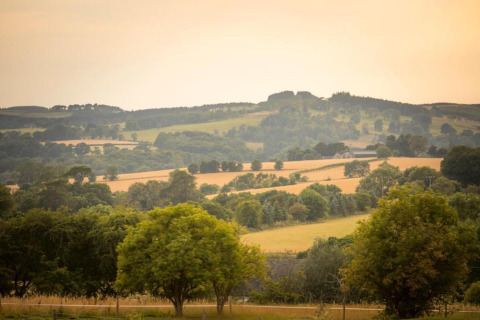 Uitzicht vanaf een pod op groene velden, golvende heuvels en verspreide bomen bij zacht avondlicht.