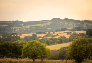 Uitzicht vanaf een pod op groene velden, golvende heuvels en verspreide bomen bij zacht avondlicht.