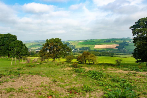 Uitzicht op groene weilanden, bomen en een bewolkte hemel genomen vanaf een pod op het platteland.