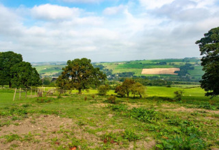 Uitzicht op groene weilanden, bomen en een bewolkte hemel genomen vanaf een pod op het platteland.