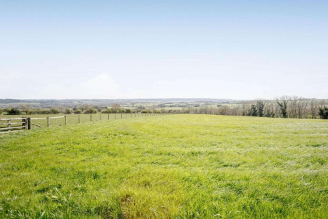 Felgroen veld bij een pod met houten omheining, heldere lucht en bomen aan de horizon.