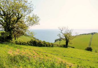 Vista da Oak Tree Lodge nel Regno Unito, con prati verdi, alberi e il mare sullo sfondo sotto il sole.
