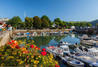 Bateaux amarrés dans un port pittoresque près de fleurs colorées à Oak Tree Lodge, Royaume-Uni.