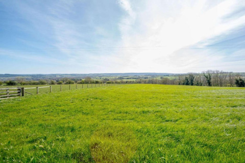 Felgroen grasveld met hek en bomen in de verte, foto genomen bij een pod onder een blauwe lucht.